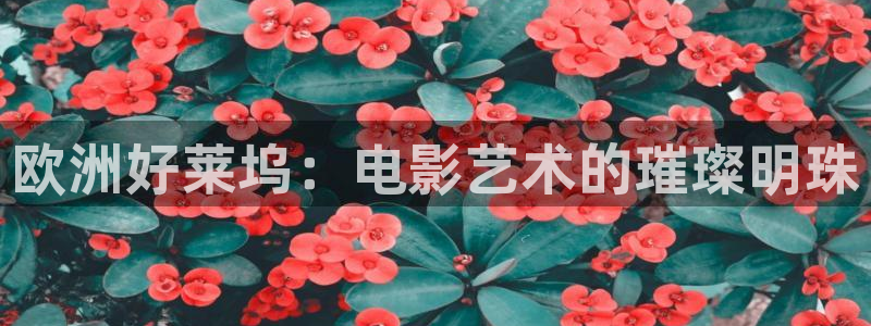 四虎影院2019最新地址：欧洲好莱坞：电影艺术的璀璨明珠