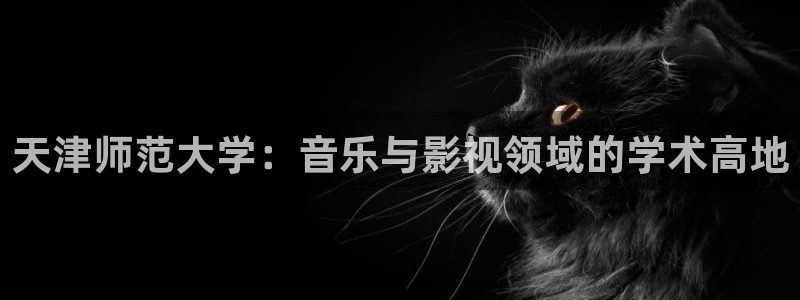 四虎影视 国产精品：天津师范大学：音乐与影视领域的学术高地