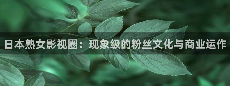 四虎tv免费网站：日本熟女影视圈：现象级的粉丝文化与商业运作